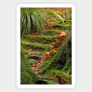 Fungus Steps Sticker